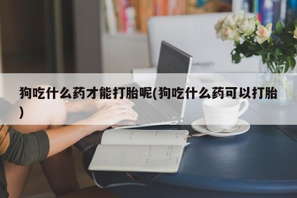 卖打胎药的医生微信号狗吃什么药才能打胎呢(狗吃什么药可以打胎)