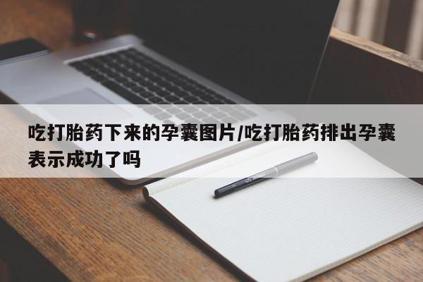 卖打胎药的医生微信号吃打胎药下来的孕囊图片/吃打胎药排出孕囊表示成功了吗